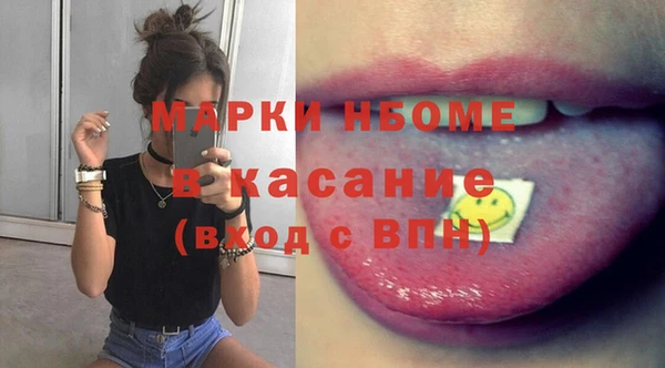 шишки Белоозёрский