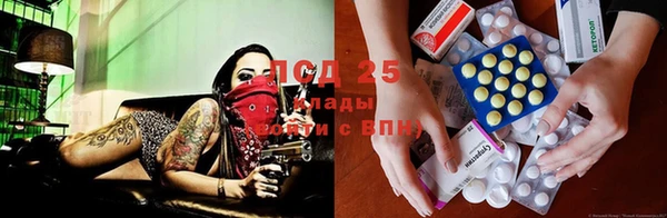 ешки Беломорск