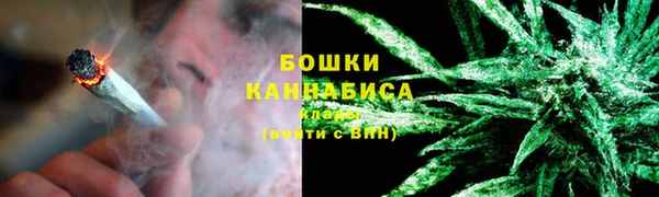 шишки Белоозёрский