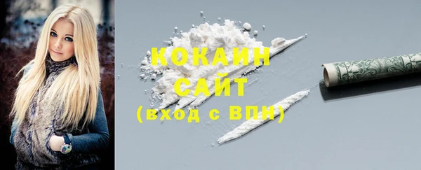 шишки Белоозёрский