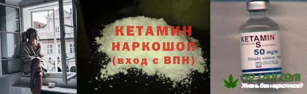 шишки Белоозёрский