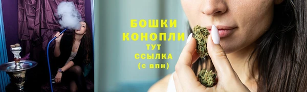 шишки Белоозёрский