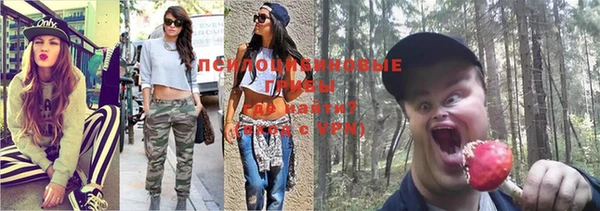шишки Белоозёрский