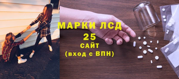 шишки Белоозёрский