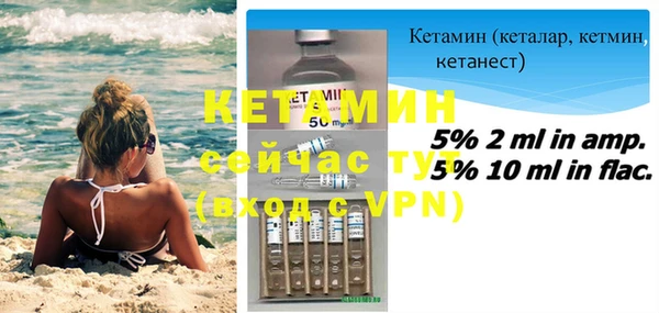 шишки Белоозёрский